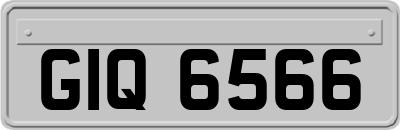 GIQ6566