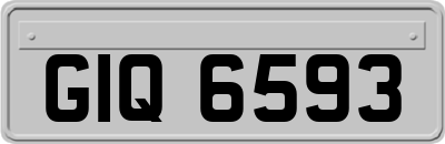 GIQ6593