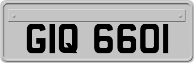 GIQ6601