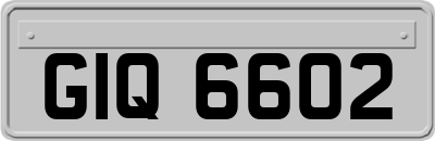 GIQ6602