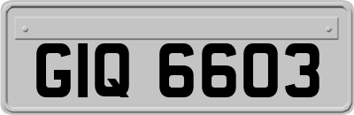 GIQ6603