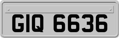 GIQ6636