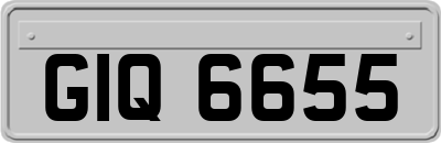 GIQ6655