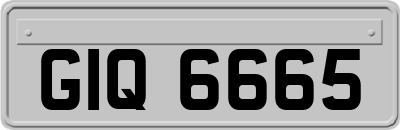 GIQ6665