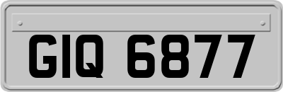 GIQ6877