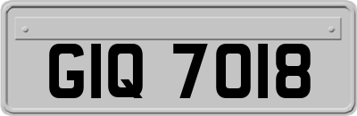 GIQ7018
