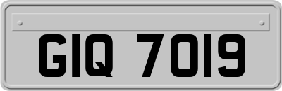 GIQ7019