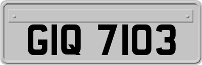 GIQ7103