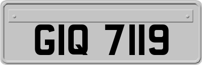 GIQ7119
