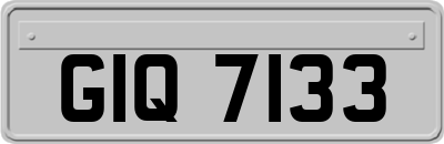 GIQ7133