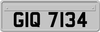 GIQ7134