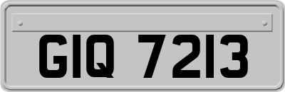 GIQ7213