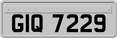 GIQ7229