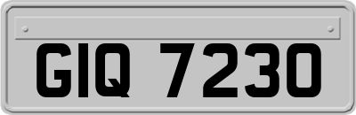 GIQ7230