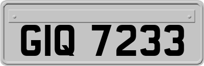 GIQ7233