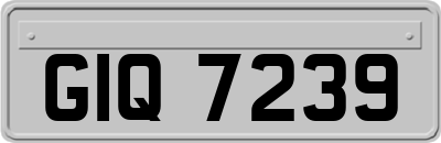 GIQ7239