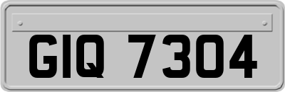 GIQ7304