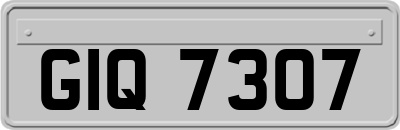 GIQ7307