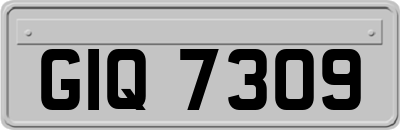 GIQ7309