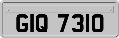GIQ7310