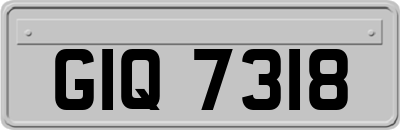 GIQ7318