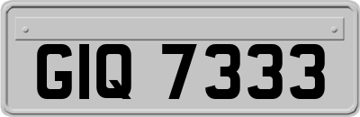 GIQ7333