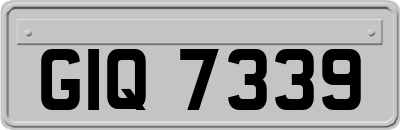 GIQ7339