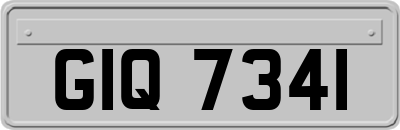 GIQ7341