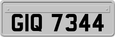 GIQ7344