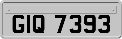 GIQ7393