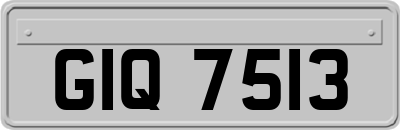 GIQ7513