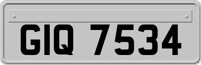 GIQ7534