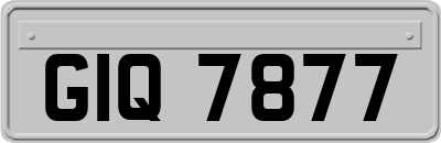 GIQ7877