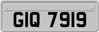 GIQ7919