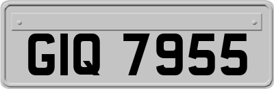 GIQ7955