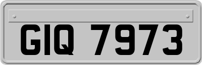 GIQ7973
