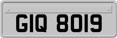 GIQ8019