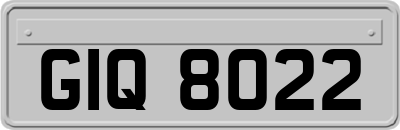 GIQ8022