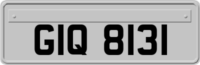 GIQ8131