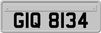 GIQ8134