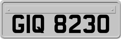 GIQ8230