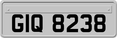 GIQ8238