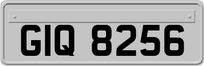 GIQ8256