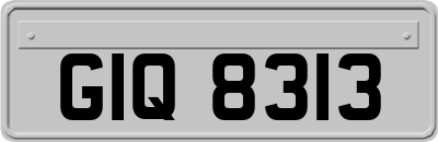 GIQ8313