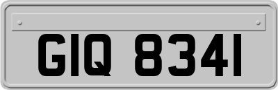 GIQ8341