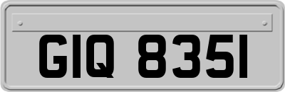 GIQ8351