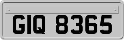 GIQ8365