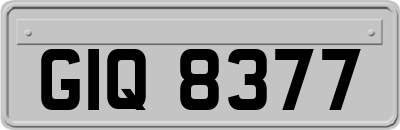 GIQ8377
