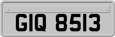 GIQ8513