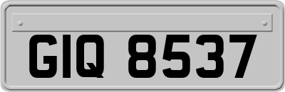 GIQ8537